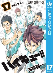 ハイキュー 17巻の表紙