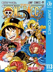 ワンピース 113巻の表紙