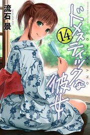 ドメスティックな彼女 14巻の表紙