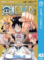 ONE PIECE モノクロ版 45