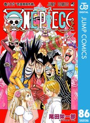 ONE PIECE モノクロ版 71