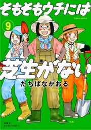 そもそもウチには芝生がない