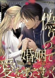 国内最大級の漫画・電子書籍ストア【コミックシーモア】※商品リンク有り※許可が下りていないメディアでの掲載は厳禁※